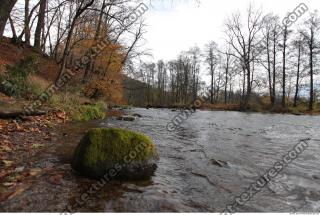 Photo Reference of Background Forest